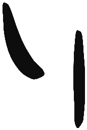 Image of the occurrence